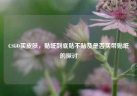 CSGO买皮肤，贴纸到底贴不贴及是否买带贴纸的探讨