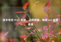 快手电竞 PUBG 直播，点燃激情，畅享 KSG 电竞盛宴