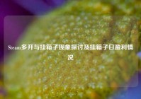 Steam多开与挂箱子现象探讨及挂箱子日盈利情况
