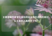 王者荣耀热度变化背后的社交及生活百态探讨，玩王者的人真的少了吗？