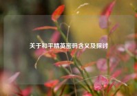 关于和平精英密码含义及探讨