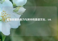英雄联盟的魅力与其中的英语文化，LOL