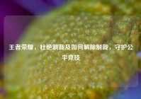 王者荣耀，杜绝制裁及如何解除制裁，守护公平竞技