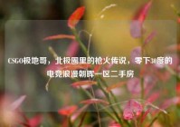 CSGO极地哥，北极圈里的枪火传说，零下30度的电竞浪漫朝晖一区二手房