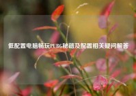 低配置电脑畅玩PUBG秘籍及配置相关疑问解答