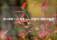 深入解析 CSGO 观看 Demo 的技巧门道及控制方法