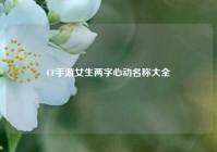 CF手游女生两字心动名称大全