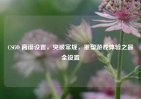 CSGO 离谱设置，突破常规，重塑游戏体验之最全设置