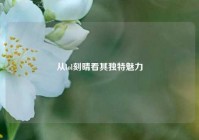 从lol刻晴看其独特魅力