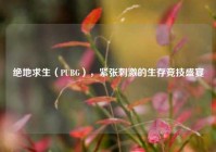 绝地求生（PUBG），紧张刺激的生存竞技盛宴