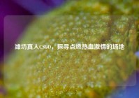 潍坊真人CSGO，探寻点燃热血激情的场地