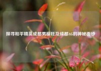 探寻和平精英成都男模旺及成都AG的神秘面纱