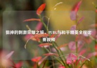 狙神的刺激荣耀之旅，PUBG与和平精英全程比赛视频