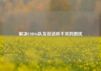 解决COD16队友说话听不见的困扰