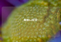 解析Lol驻灵