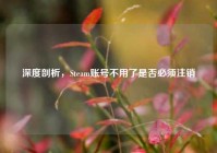 深度剖析，Steam账号不用了是否必须注销