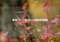 解析CPU三缓对CSGO游戏的影响