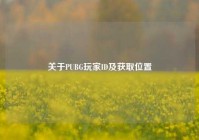 关于PUBG玩家ID及获取位置