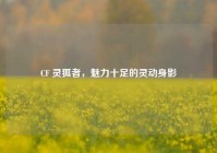 CF 灵狐者，魅力十足的灵动身影
