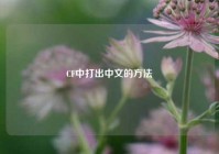 CF中打出中文的方法