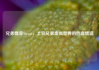 兄弟情牵Steam，土豆兄弟虚拟世界的热血情谊