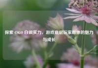 探索 CSGO 白银实力，游戏底层玩家群体的魅力与成长
