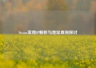 Steam常用IP解析与地址查询探讨