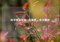 和平精英屏幕UI全解析，含义解读