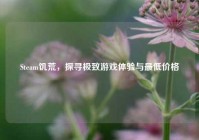 Steam饥荒，探寻极致游戏体验与最低价格