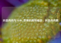 抖音肉肉与 PUBG 世界的独特组合，抖音肉肉鹅