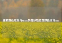 探索野性燃料与Steam的奇妙联结及野性燃料error