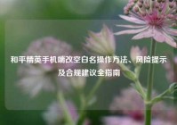和平精英手机端改空白名操作方法、风险提示及合规建议全指南
