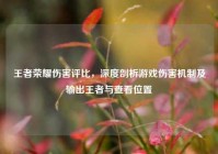 王者荣耀伤害评比，深度剖析游戏伤害机制及输出王者与查看位置