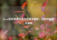 Steam定时清理及缓存位置全解析，让游戏库始终清爽