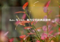 Hades 与 CSGO，魅力交织的两款游戏