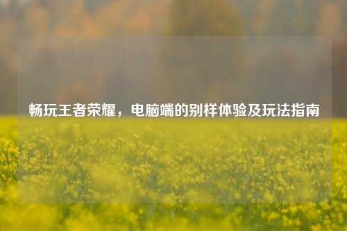 畅玩王者荣耀,电脑端的别样体验及玩法指南