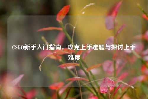 CSGO新手入门指南,攻克上手难题与探讨上手难度