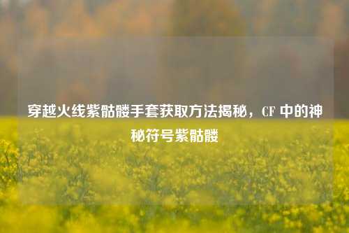 穿越火线紫骷髅手套获取方法揭秘，CF 中的神秘符号紫骷髅