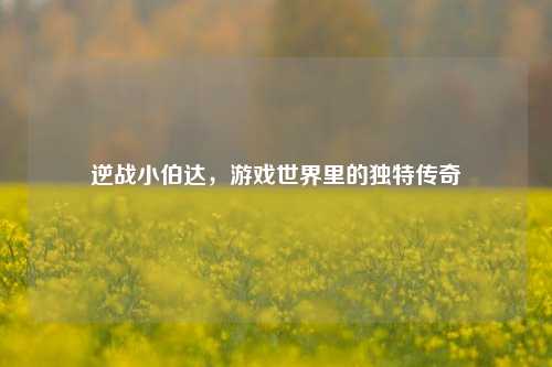 逆战小伯达,游戏世界里的独特传奇