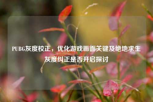 PUBG灰度校正,优化游戏画面关键及绝地求生灰度纠正是否开启探讨