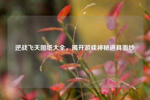 逆战飞天图纸大全,揭开游戏神秘道具面纱