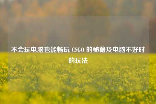 不会玩电脑也能畅玩 CSGO 的秘籍及电脑不好时的玩法
