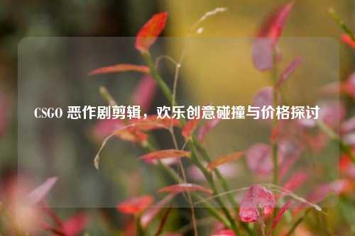 CSGO 恶作剧剪辑，欢乐创意碰撞与价格探讨