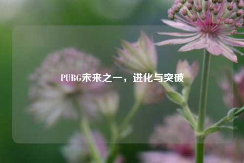 PUBG未来之一，进化与突破