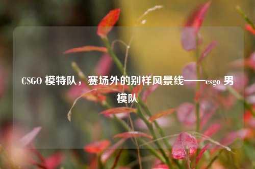 CSGO 模特队，赛场外的别样风景线——csgo 男模队