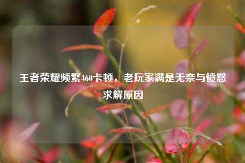 王者荣耀频繁460卡顿,老玩家满是无奈与愤怒求解原因