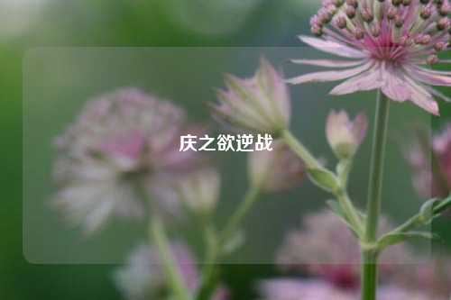 庆之欲逆战