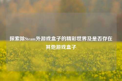 探索除Steam外游戏盒子的精彩世界及是否存在其他游戏盒子