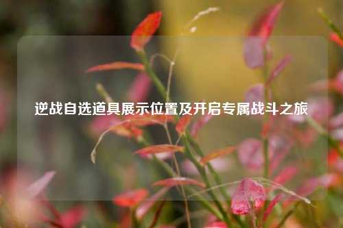 逆战自选道具展示位置及开启专属战斗之旅