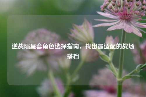 逆战陨星套角色选择指南，找出最适配的战场搭档